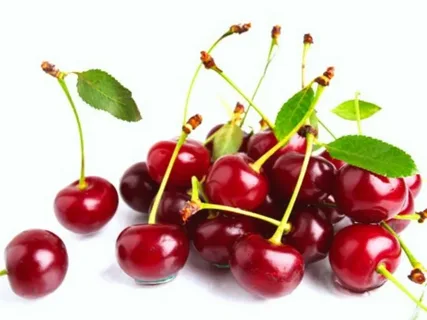 تصویر 4 از فروش کنسانتره آلبالو + قیمت خرید به صرفه